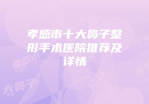 孝感市十大鼻子整形手术医院推荐及详情