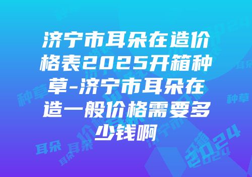 济宁市耳朵在造价格表2025开箱种草-济宁市耳朵在造一般价格需要多少钱啊