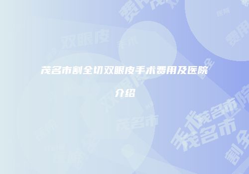 茂名市割全切双眼皮手术费用及医院介绍