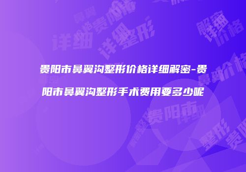 贵阳市鼻翼沟整形价格详细解密-贵阳市鼻翼沟整形手术费用要多少呢