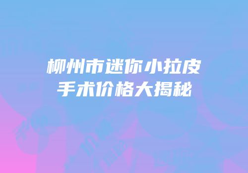 柳州市迷你小拉皮手术价格大揭秘