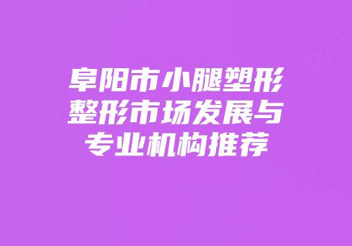阜阳市小腿塑形整形市场发展与专业机构推荐