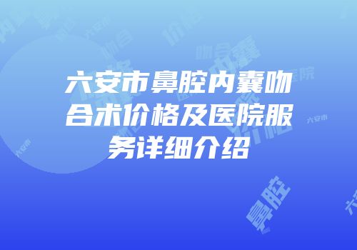 六安市鼻腔内囊吻合术价格及医院服务详细介绍