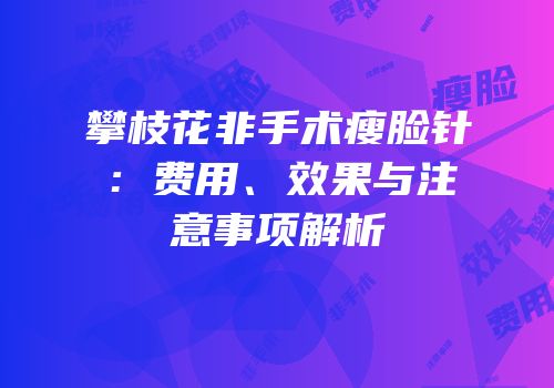 攀枝花非手术瘦脸针：费用、效果与注意事项解析