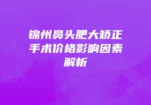 锦州鼻头肥大矫正手术价格影响因素解析