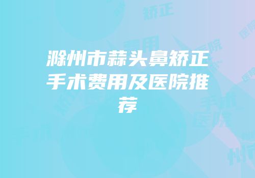 滁州市蒜头鼻矫正手术费用及医院推荐