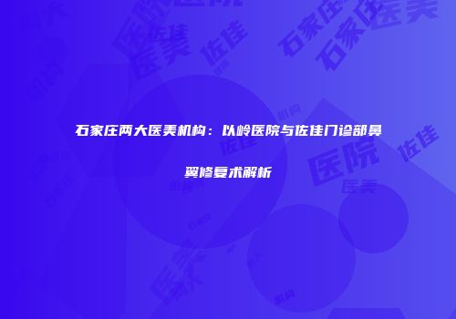 石家庄两大医美机构：以岭医院与佐佳门诊部鼻翼修复术解析