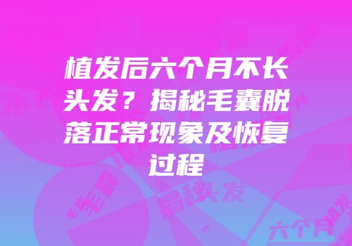 植发后六个月不长头发？揭秘毛囊脱落正常现象及恢复过程