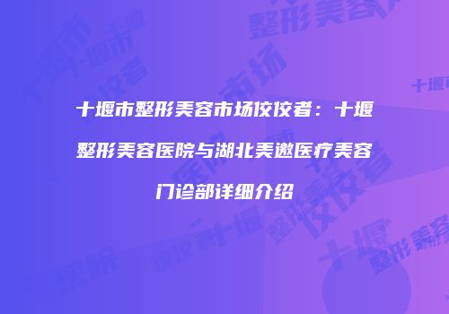 十堰市整形美容市场佼佼者：十堰整形美容医院与湖北美邀医疗美容门诊部详细介绍