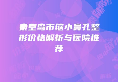 秦皇岛市缩小鼻孔整形价格解析与医院推荐