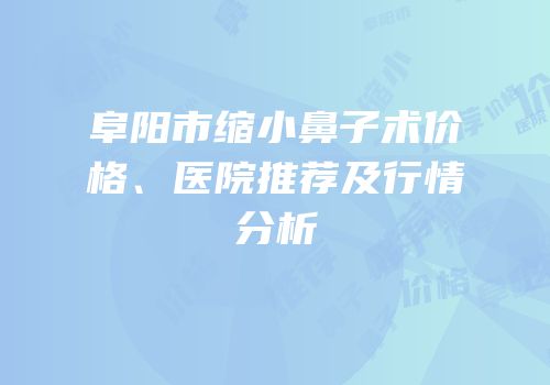 阜阳市缩小鼻子术价格、医院推荐及行情分析