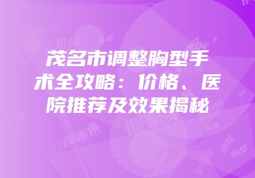 茂名市调整胸型手术全攻略：价格、医院推荐及效果揭秘
