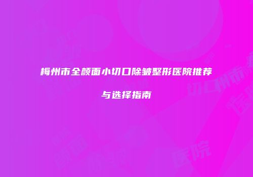 梅州市全颜面小切口除皱整形医院推荐与选择指南