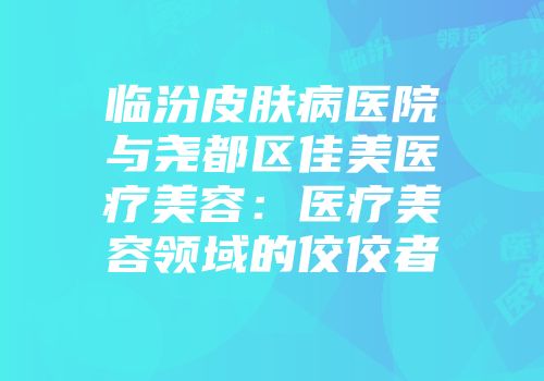 临汾皮肤病医院与尧都区佳美医疗美容：医疗美容领域的佼佼者
