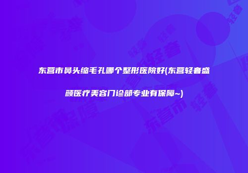 东营市鼻头缩毛孔哪个整形医院好(东营轻奢盛颜医疗美容门诊部专业有保障~)