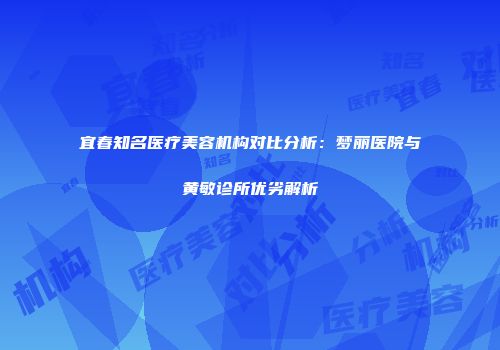 宜春知名医疗美容机构对比分析：梦丽医院与黄敏诊所优劣解析