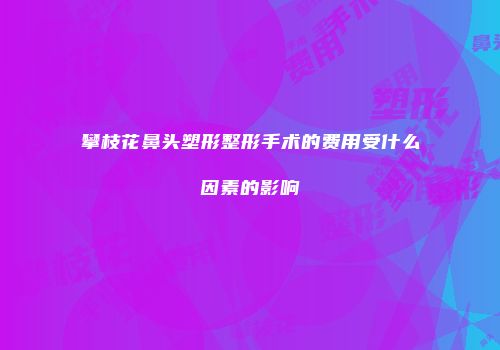 攀枝花鼻头塑形整形手术的费用受什么因素的影响