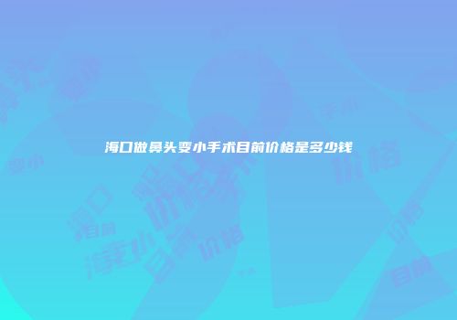 海口做鼻头变小手术目前价格是多少钱