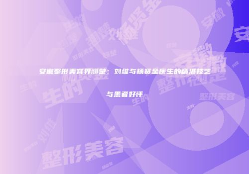 安徽整形美容界翘楚：刘维与杨贤金医生的精湛技艺与患者好评