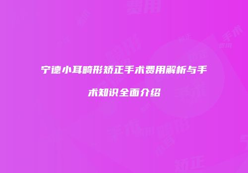 宁德小耳畸形矫正手术费用解析与手术知识全面介绍