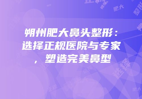 朔州肥大鼻头整形：选择正规医院与专家，塑造完美鼻型