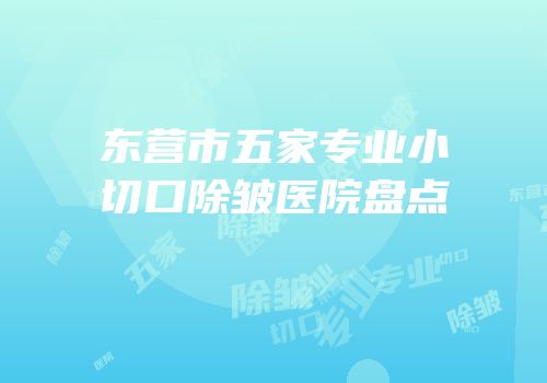 东营市五家专业小切口除皱医院盘点