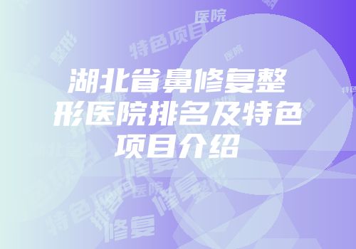 湖北省鼻修复整形医院排名及特色项目介绍