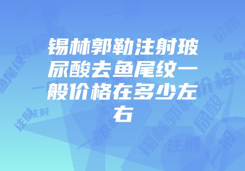 锡林郭勒注射玻尿酸去鱼尾纹一般价格在多少左右