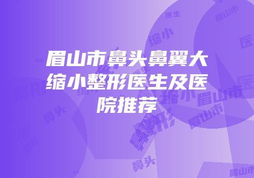 眉山市鼻头鼻翼大缩小整形医生及医院推荐