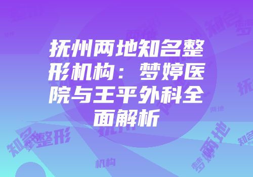 抚州两地知名整形机构：梦婷医院与王平外科全面解析