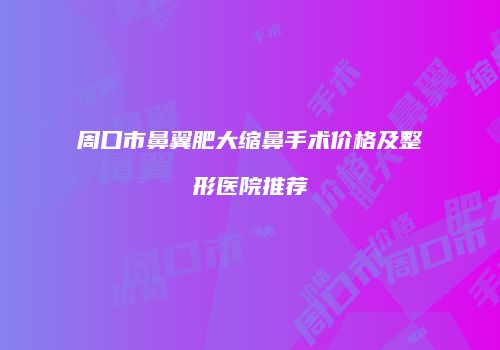 周口市鼻翼肥大缩鼻手术价格及整形医院推荐