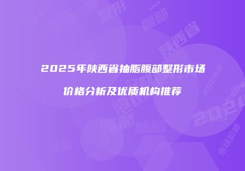 2025年陕西省抽脂腹部整形市场价格分析及优质机构推荐