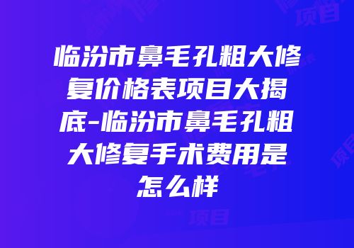 临汾市鼻毛孔粗大修复价格表项目大揭底-临汾市鼻毛孔粗大修复手术费用是怎么样