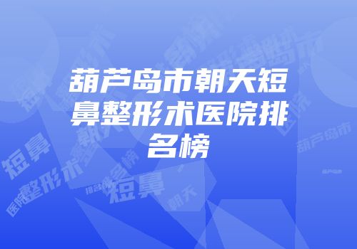 葫芦岛市朝天短鼻整形术医院排名榜