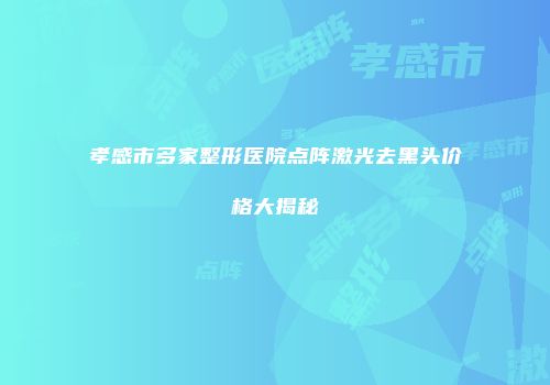 孝感市多家整形医院点阵激光去黑头价格大揭秘