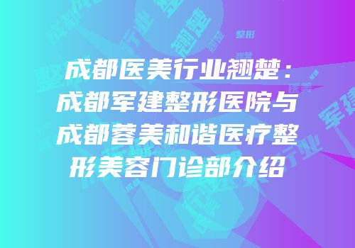 成都医美行业翘楚：成都军建整形医院与成都蓉美和谐医疗整形美容门诊部介绍