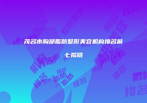 茂名市胸部脂肪整形美容机构排名前七揭晓