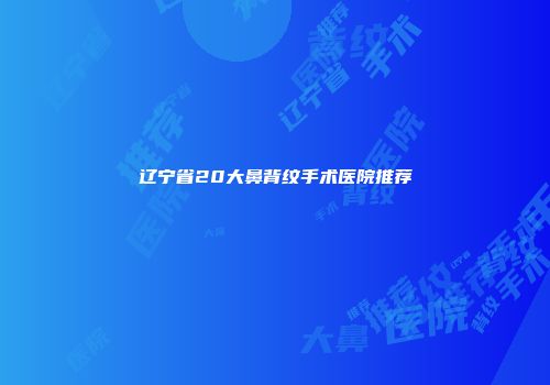 辽宁省20大鼻背纹手术医院推荐
