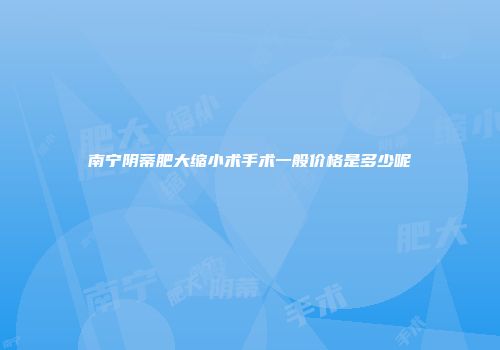 南宁阴蒂肥大缩小术手术一般价格是多少呢