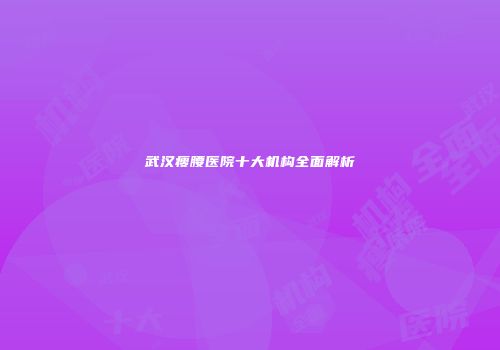 武汉瘦腰医院十大机构全面解析