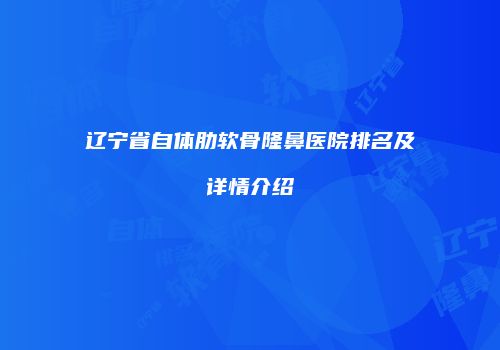 辽宁省自体肋软骨隆鼻医院排名及详情介绍