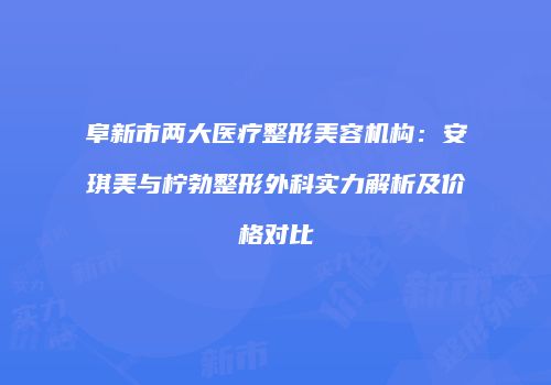 阜新市两大医疗整形美容机构：安琪美与柠勃整形外科实力解析及价格对比