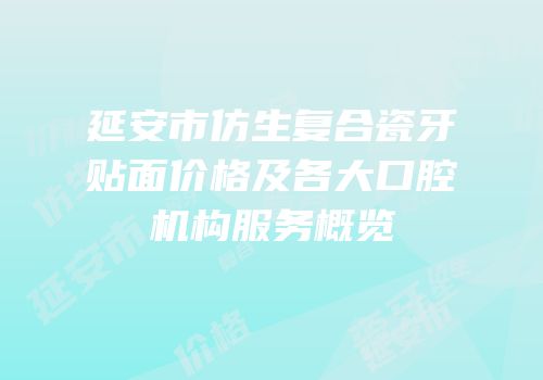 延安市仿生复合瓷牙贴面价格及各大口腔机构服务概览