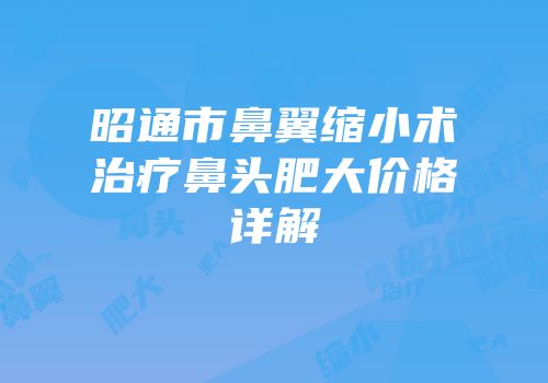 昭通市鼻翼缩小术治疗鼻头肥大价格详解