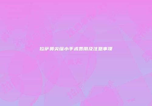 拉萨鼻尖缩小手术费用及注意事项