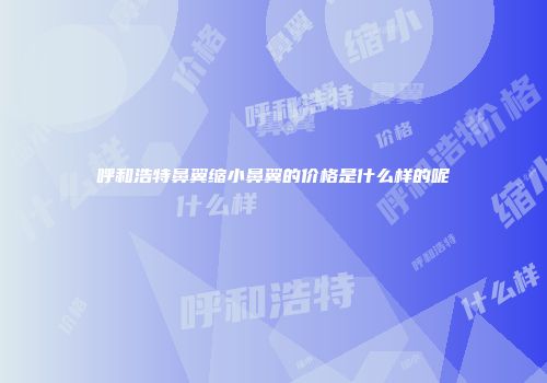 呼和浩特鼻翼缩小鼻翼的价格是什么样的呢