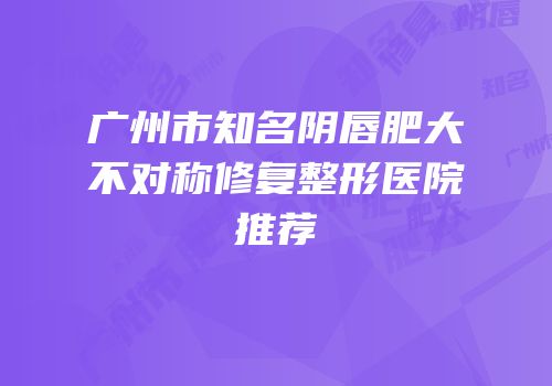 广州市知名阴唇肥大不对称修复整形医院推荐