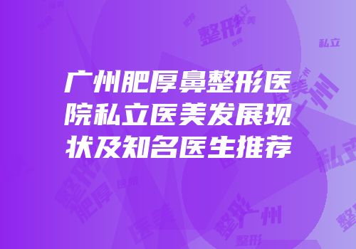 广州肥厚鼻整形医院私立医美发展现状及知名医生推荐