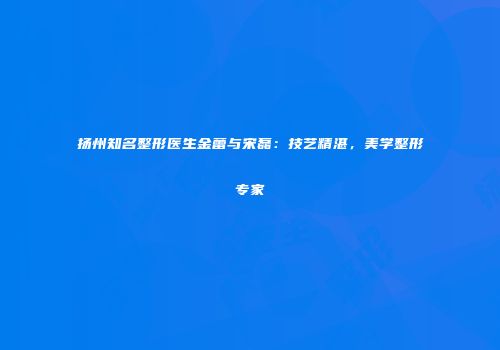 扬州知名整形医生金蕾与宋磊：技艺精湛，美学整形专家