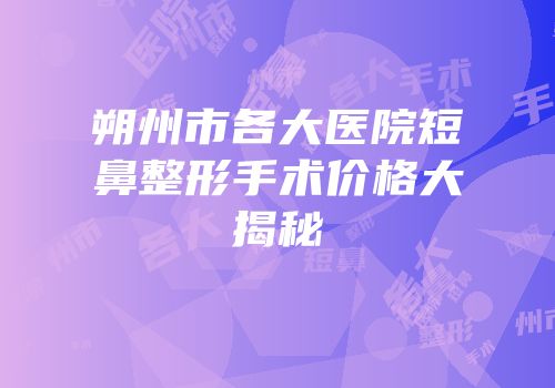 朔州市各大医院短鼻整形手术价格大揭秘